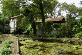 
                                                                                        Vente
                                                                                         Moulin à eau du XVIIIe siècle niché dans la vallée de La Dronne. 