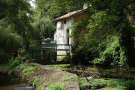 
                                                                                        Vente
                                                                                         Moulin à eau du XVIIIe siècle niché dans la vallée de La Dronne. 