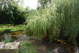 
                                                                                        Vente
                                                                                         Moulin à eau du XVIIIe siècle niché dans la vallée de La Dronne. 