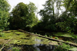 
                                                                                        Vente
                                                                                         Moulin à eau du XVIIIe siècle niché dans la vallée de La Dronne. 