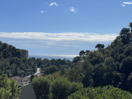 
                                                                                        Vente
                                                                                         Nice Madonette - F1 dernier étage terrasse dans résidence avec piscine