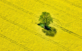 
                                                                                        Vente
                                                                                         NOUVELLE AQUITAINE – EXPLOITATION AGRICOLE – 130 HA