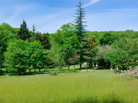 
                                                                                        Vente
                                                                                         PERIGORD VERT PROPRIETE XIXème 88 HA ETANGS RIVIERE