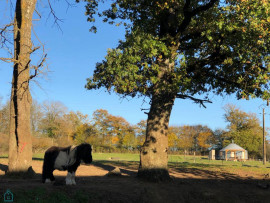 
                                                                                        Vente
                                                                                         PROPRIÉTE EQUESTRE SUR 6 HA  AVEC MAISONS D'HABITATION