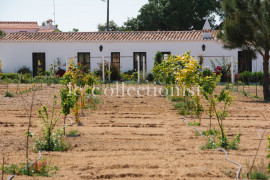 
                                                                                        Location de vacances
                                                                                         Quinta dos Cavalos