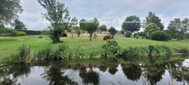 
                                                                                        Vente
                                                                                         Sur les coteaux de Bergerac : Belle longère avec gite, vue dégagée et piscine 