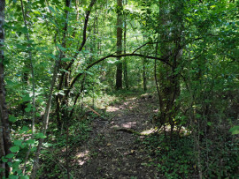 
                                                                                        Vente
                                                                                         Terrain à bâtir Cambes