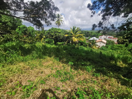 
                                                                                        Vente
                                                                                         Terrain à Redoute Fort de france