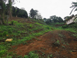 
                                                                                        Vente
                                                                                         Terrain à Redoute Fort de france