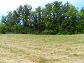 
                                                                                        Vente
                                                                                         Terrain constructible 2500 m2