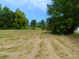 
                                                                                        Vente
                                                                                         Terrain constructible 2500 m2