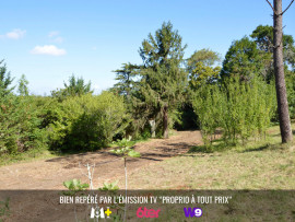 
                                                                                        Vente
                                                                                         Terrain constructible de 6 877 m²