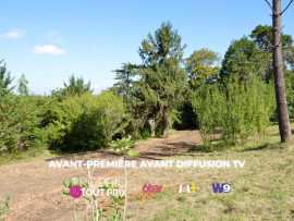 
                                                                                        Vente
                                                                                         Terrain Constructible de 6877m2