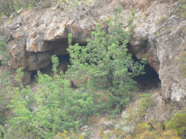 
                                                                                        Vente
                                                                                         Terrain rustique à La Quinta – Taucho    Ténérife