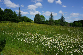 
                                                                                        Vente
                                                                                         Villa contemporaine de plain-pied. 