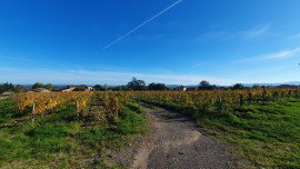 
                                                                                        Vente
                                                                                         Villa idéalement située dans un secteur prisé et bien orientée avec vue.