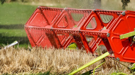 
                                                                                        Vente
                                                                                         YONNE EXPLOITATION AGRICOLE 276 HA