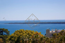 
                                                                                        Vente
                                                                                         Appartement-villa Cannes  Californie