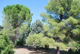 
                                                                                        Location
                                                                                         Bastide en Provence (loyer tout inclus)