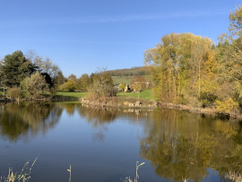 
                                                                                        Vente
                                                                                         Belle maison avec gîte sur 4 hectares de terrain 