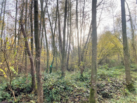 
                                                                                        Vente
                                                                                         BOIS DE 23.5 HA SUD LAON