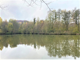 
                                                                                        Vente
                                                                                         BOIS DE 23.5 HA SUD LAON