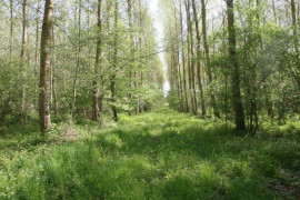 
                                                                        Vente
                                                                         BOIS TAILLES TERRES AGRICOLES