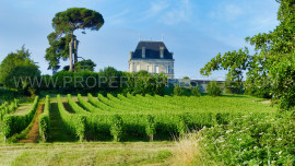 
                                                                                        Vente
                                                                                         BORDEAUX – CHATEAU VITICOLE – 22 HA – CANON FRONSAC