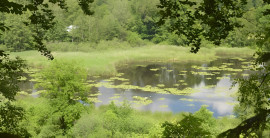 
                                                                                        Vente
                                                                                         BRETAGNE PROPRIETE AVEC SON MOULIN 20 HA ETANG