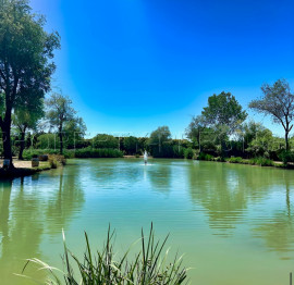 
                                                                                        Vente
                                                                                         CAMARGUE ETANG DE PECHE 3,4 HA