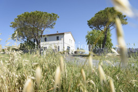 
                                                                                        Location de vacances
                                                                                         Casale Selene