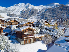 
                                                                                        Location de vacances
                                                                                         Chalet Aline