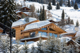 
                                                                                        Location de vacances
                                                                                         Chalet Mowgli