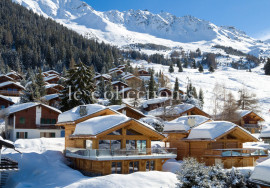 
                                                                                        Location de vacances
                                                                                         Chalet Mowgli