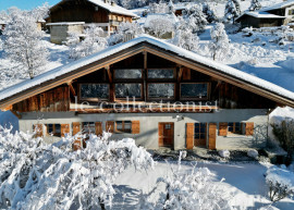 
                                                                                        Location de vacances
                                                                                         Chalet Renaissance