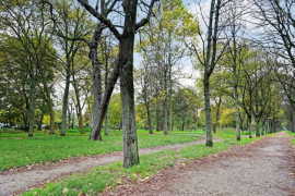 
                                                                                        Location
                                                                                         Charmant studio - Porte Maillot