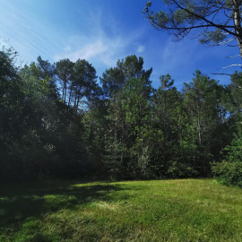 
                                                                                        Vente
                                                                                         dans les bois, Maison 7 pièces