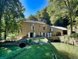 
                                                                                        Vente
                                                                                         DORDOGNE LOGIS MOULIN A EAU 8 HA