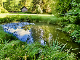 
                                                                                        Vente
                                                                                         DORDOGNE LOGIS MOULIN A EAU 8 HA