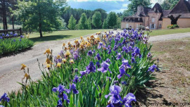 
                                                                                        Vente
                                                                                         DORDOGNE MANOIR DU XVème 24 HA ETANG PUITS