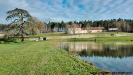 
                                                                                        Vente
                                                                                         DORDOGNE MANOIR DU XVème 24 HA ETANG PUITS