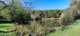 
                                                                                        Vente
                                                                                         DORDOGNE PROPRIETE 6 HA ETANG PUITS