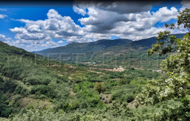 
                                                                                        Vente
                                                                                         ESPAGNE PROPRIETE RURALE ET FORESTIERE + 1000 HA