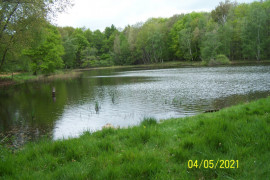 
                                                                                        Vente
                                                                                         Etang bien sité