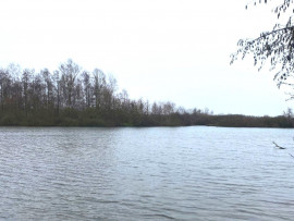 
                                                                                        Vente
                                                                                         Etang de 12.5 ha dans la Somme