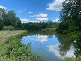 
                                                                        Vente
                                                                         Etang et bois, pêche et loisirs