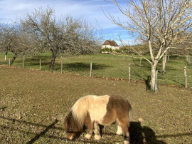 
                                                                                        Vente
                                                                                         Ferme du 17e siècle avec 2,1 ha de prairies (dign