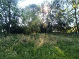 
                                                                                        Vente
                                                                                         Grand terrain à bâtir Amiens Saint Maurice