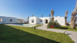 
                                                                                        Vente
                                                                                         GRANDE MAISON SUR MEZRAYA DJERBA ZA - RÉF V693