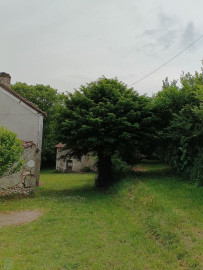 
                                                                                        Vente
                                                                                         HAVRE DE PAIX POUR CETTE PROPRIETE MAISON DEPENDANCES SUR 1.5 HA